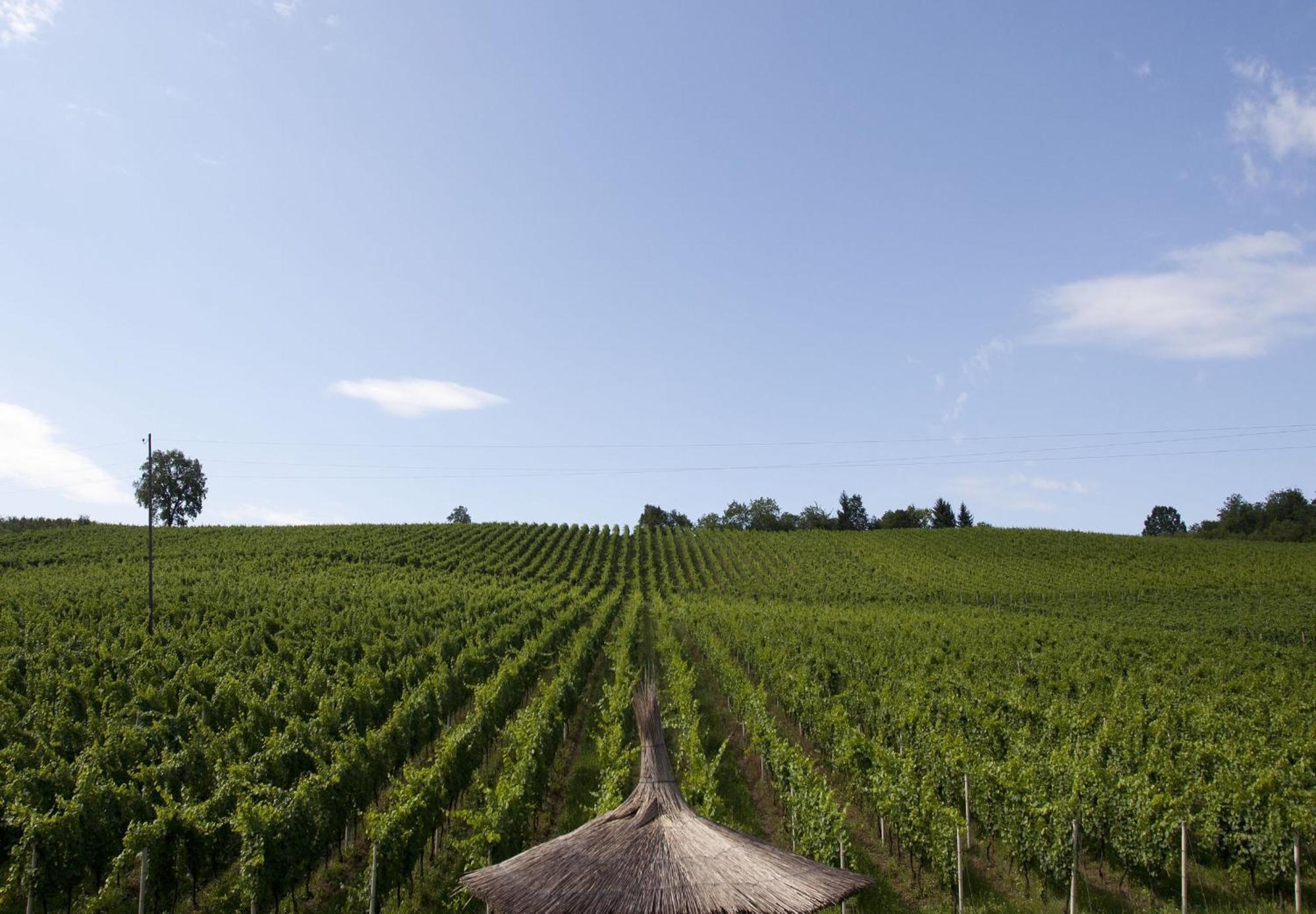 Stupnik Brodski Stupnicki Dvori Winery Hotel المظهر الخارجي الصورة