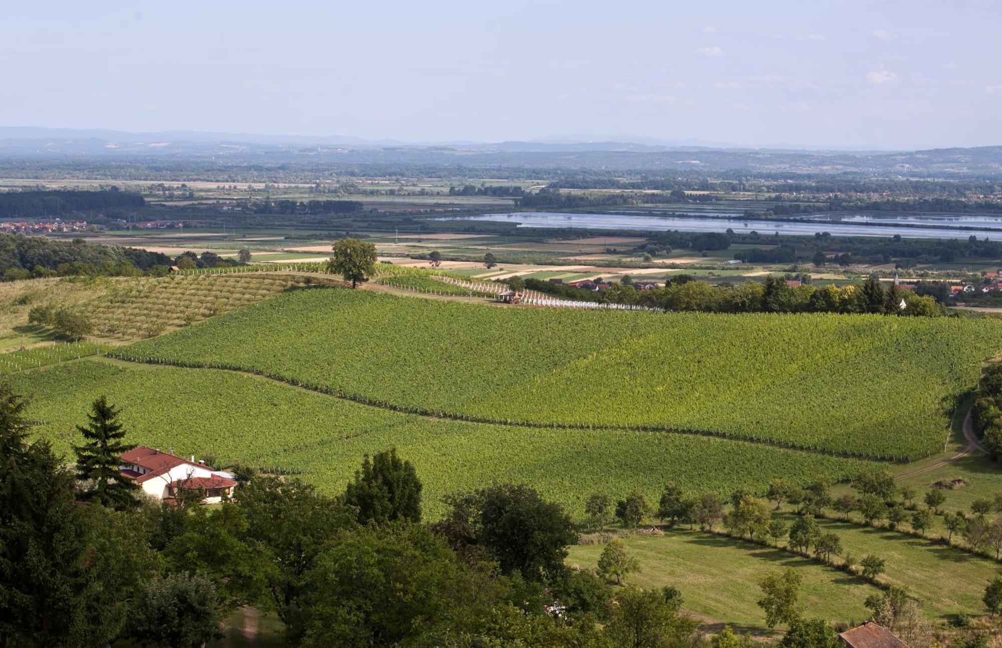 Stupnik Brodski Stupnicki Dvori Winery Hotel المظهر الخارجي الصورة