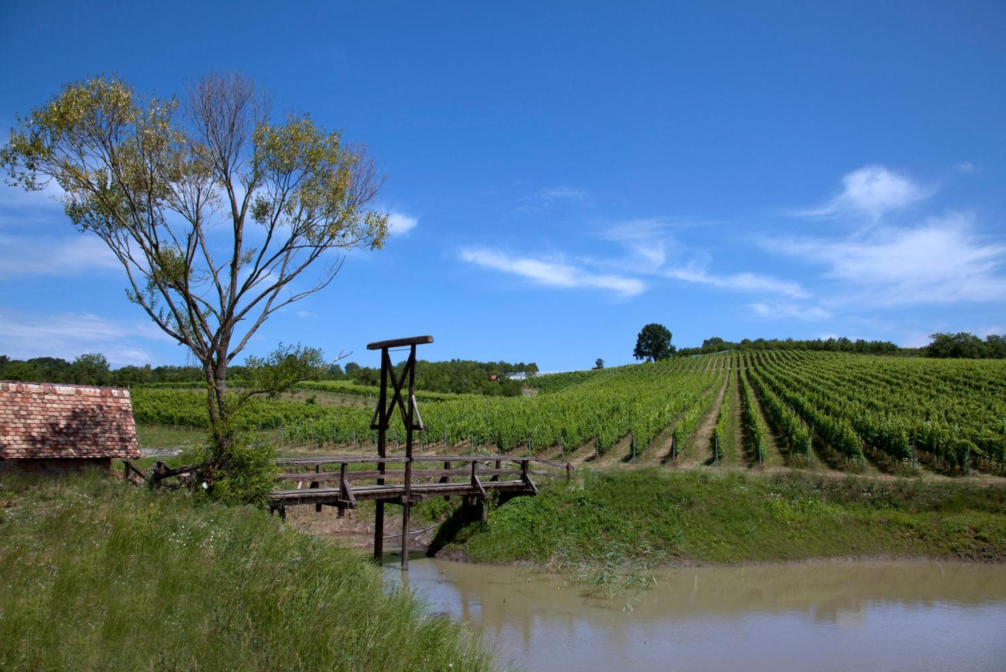 Stupnik Brodski Stupnicki Dvori Winery Hotel المظهر الخارجي الصورة