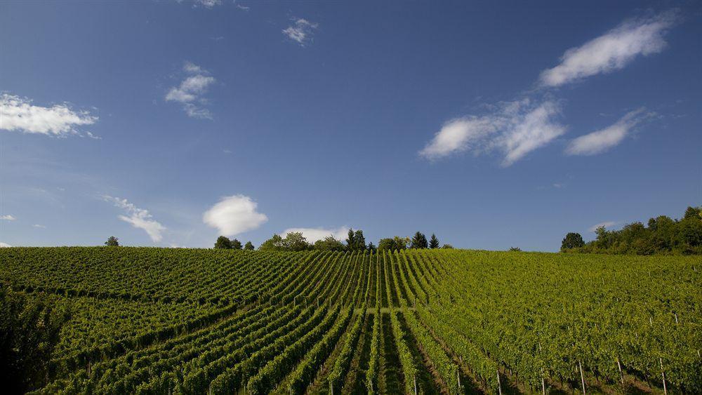 Stupnik Brodski Stupnicki Dvori Winery Hotel المظهر الخارجي الصورة