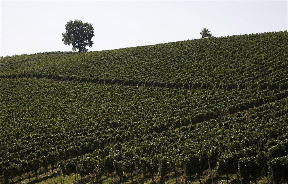 Stupnik Brodski Stupnicki Dvori Winery Hotel المظهر الخارجي الصورة