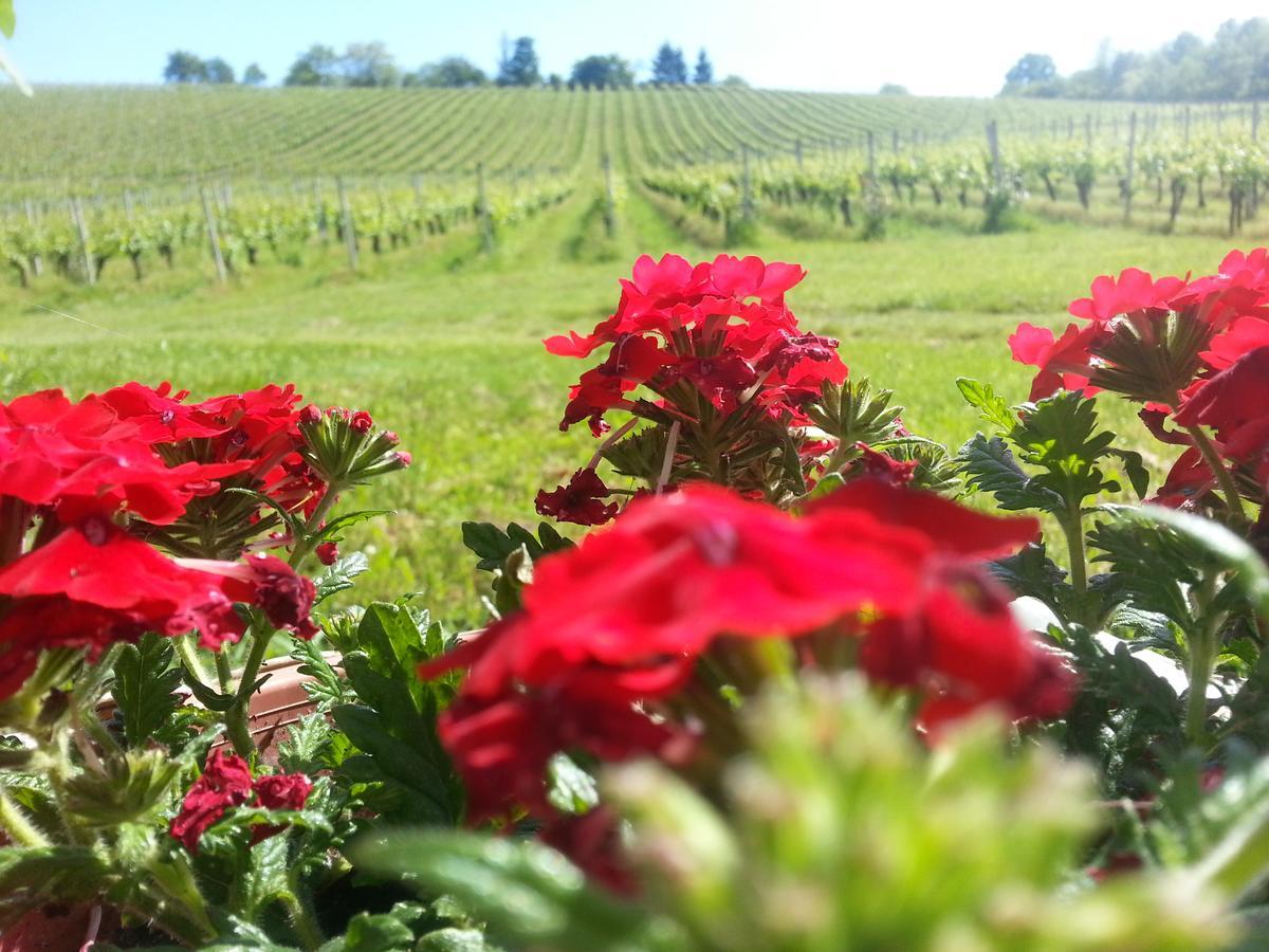 Stupnik Brodski Stupnicki Dvori Winery Hotel المظهر الخارجي الصورة