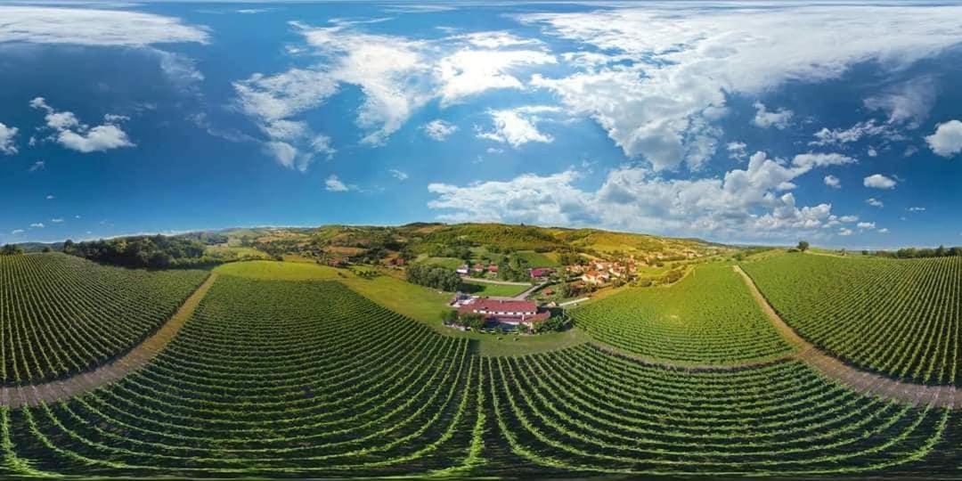 Stupnik Brodski Stupnicki Dvori Winery Hotel المظهر الخارجي الصورة